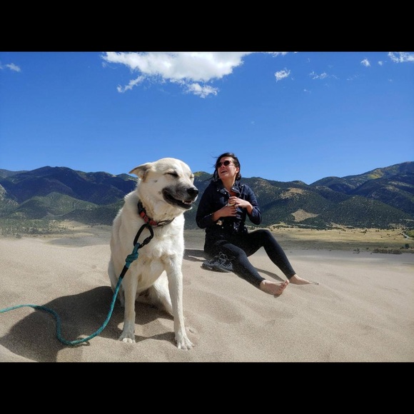 Meet your Posher, Alexa - Picture 1 of 1